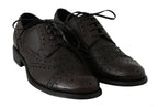Dolce &amp; Gabbana Brown Leather Wingtip Derby Formal Shoes