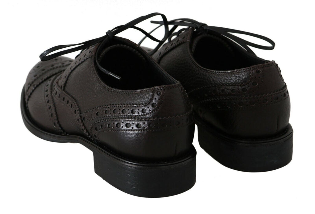 Dolce &amp; Gabbana Brown Leather Wingtip Derby Formal Shoes