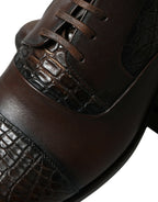 Dolce &amp; Gabbana Brown Exotic Leather Lace Up Oxford Dress Shoes