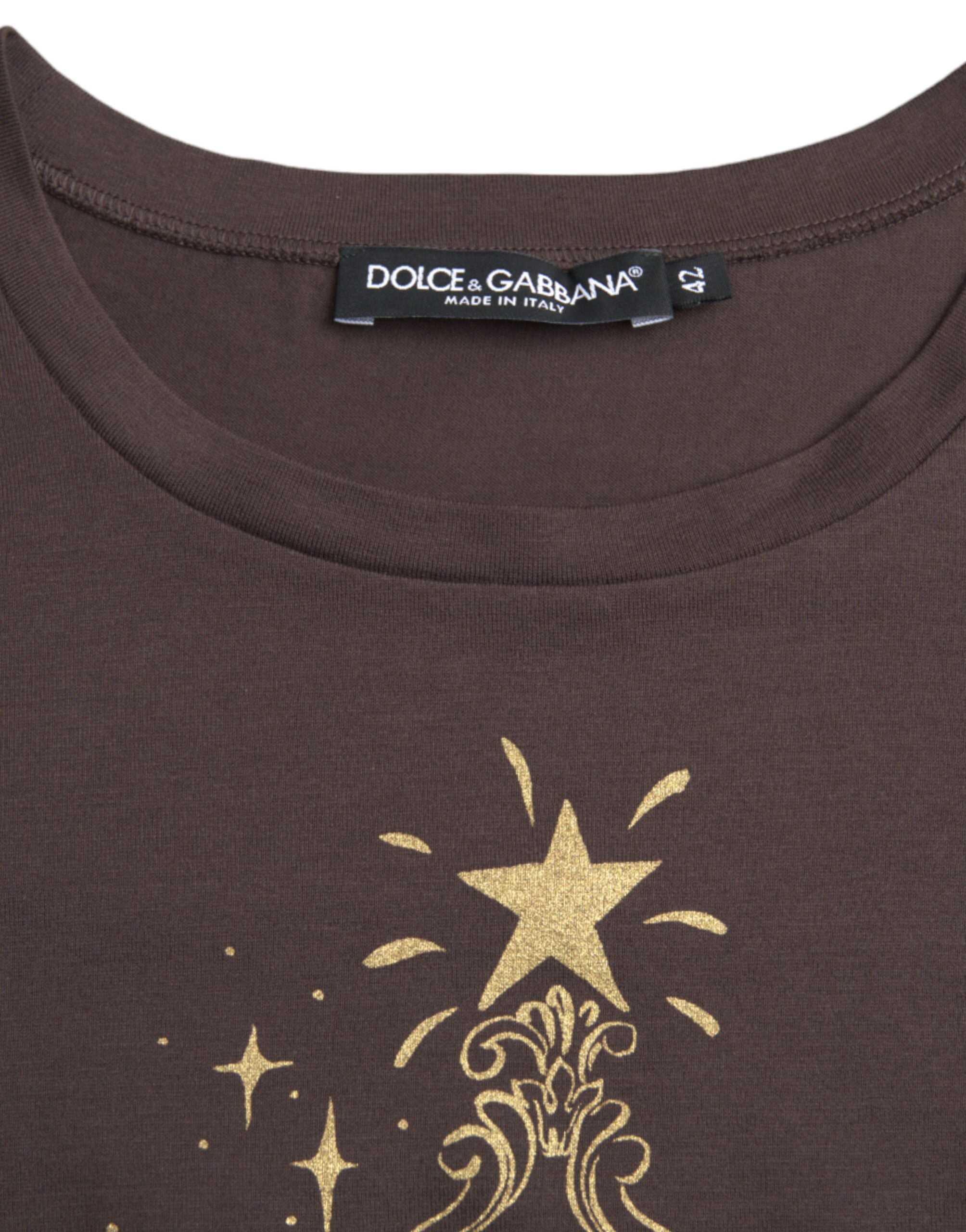 Dolce &amp; Gabbana Brown Crewneck 2017 Motive Print T-shirt