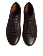 Dolce &amp; Gabbana Brown Low Top Men Saint Tropez Sneakers Shoes