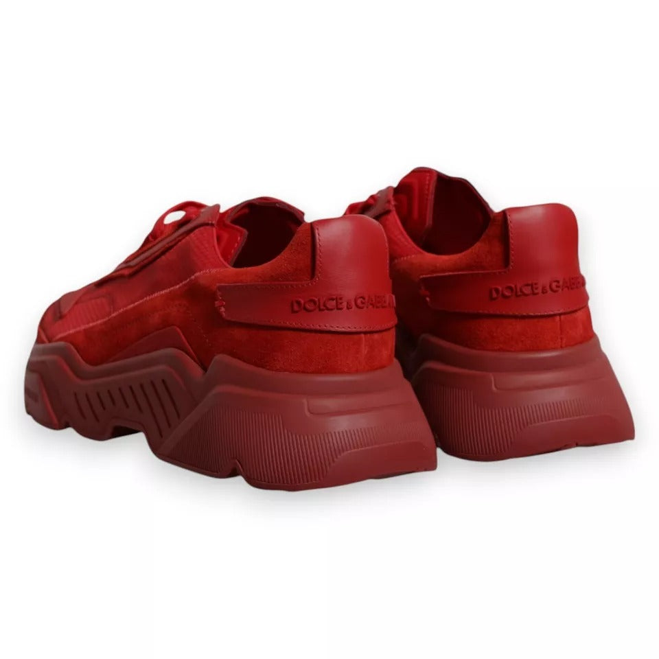 Dolce &amp; Gabbana Red Leather Daymaster Low Top Sneakers Shoes