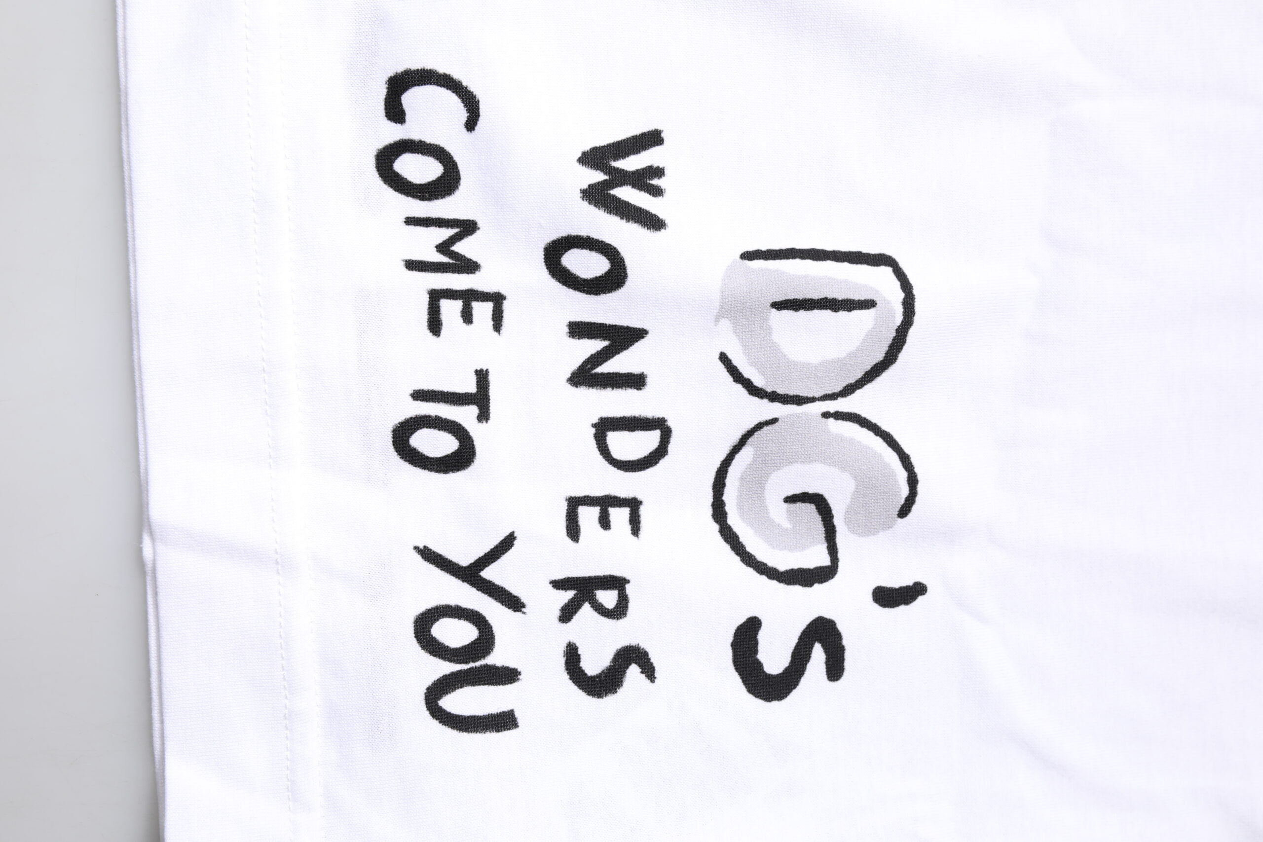 Dolce &amp; Gabbana White Short-Sleeved Printed Jersey T-shirt